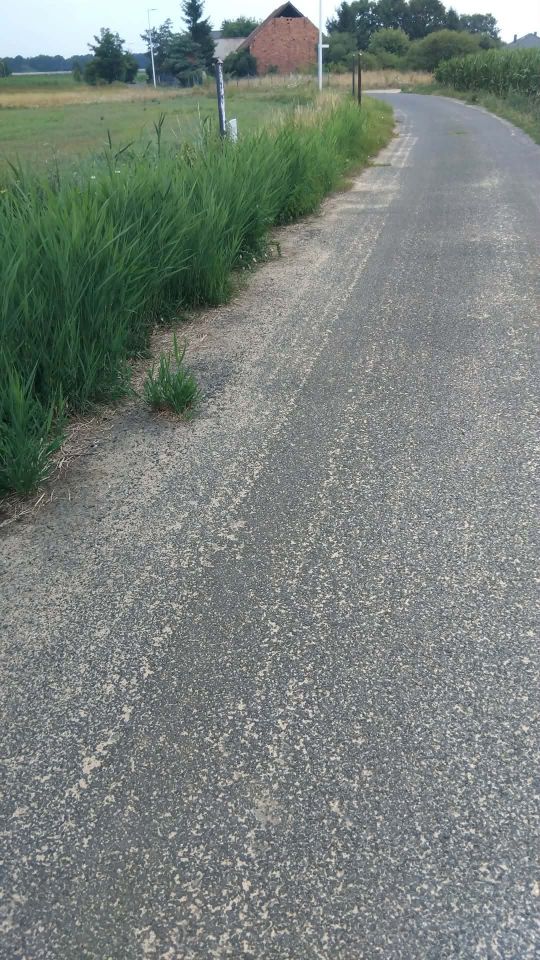Działka rolno-budowlana Głoska, ul. Kwiatowa. Zdjęcie 3