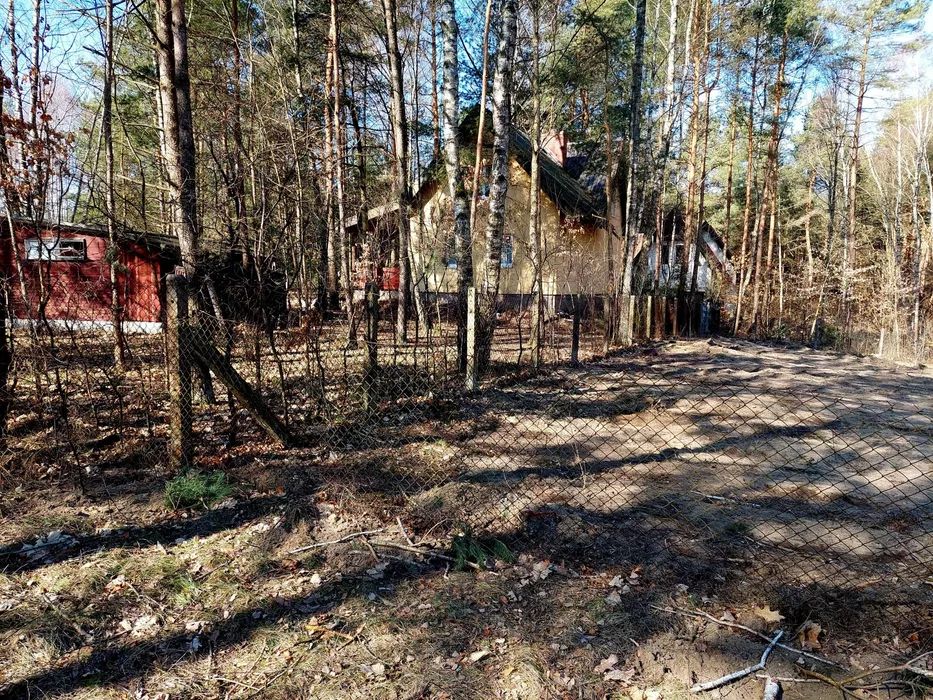 Działka rekreacyjna Kotkowo. Zdjęcie 4