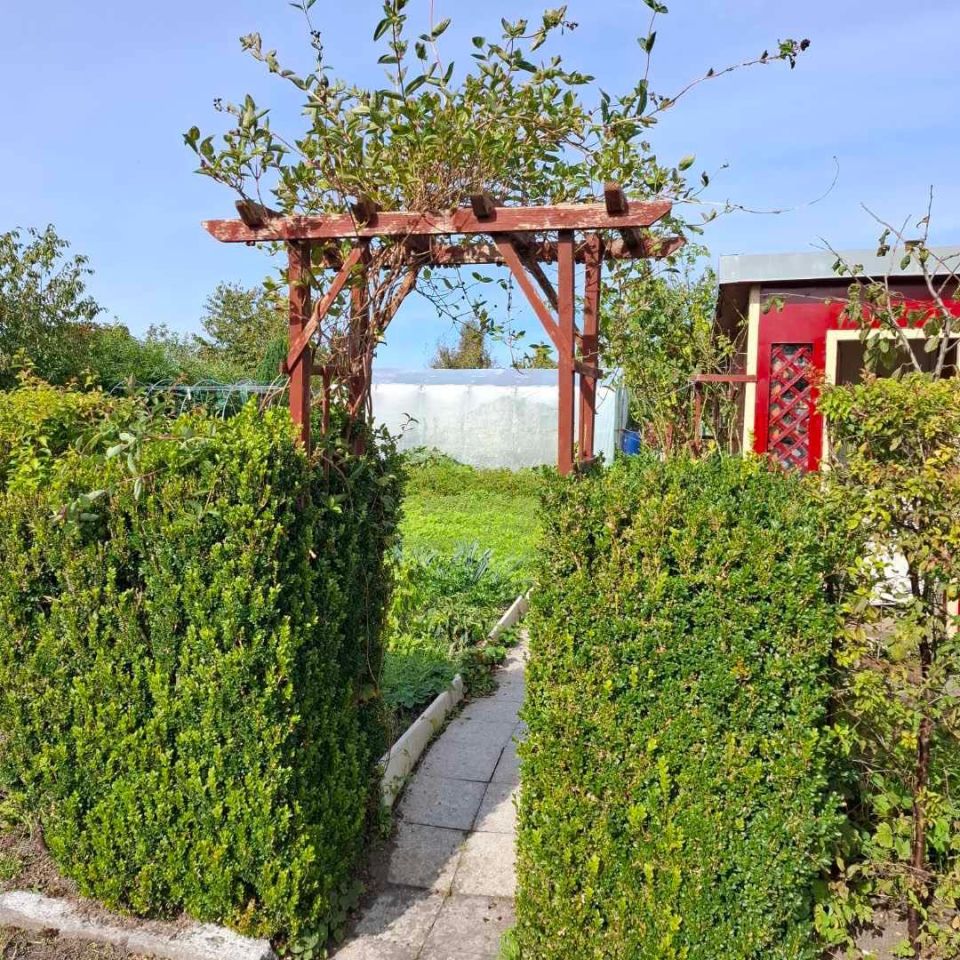 Działka rod Sztum, ul. Kasprowicza. Zdjęcie 7