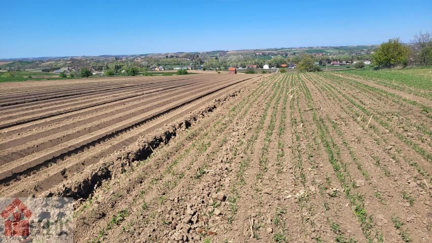 Działka budowlana Proszowice. Zdjęcie 5
