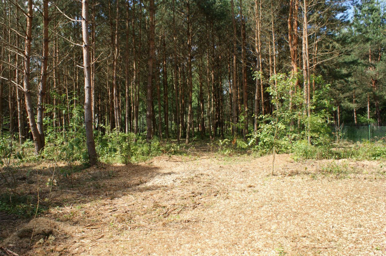 Działka rekreacyjna Czerwona Wola Myszkówka. Zdjęcie 23