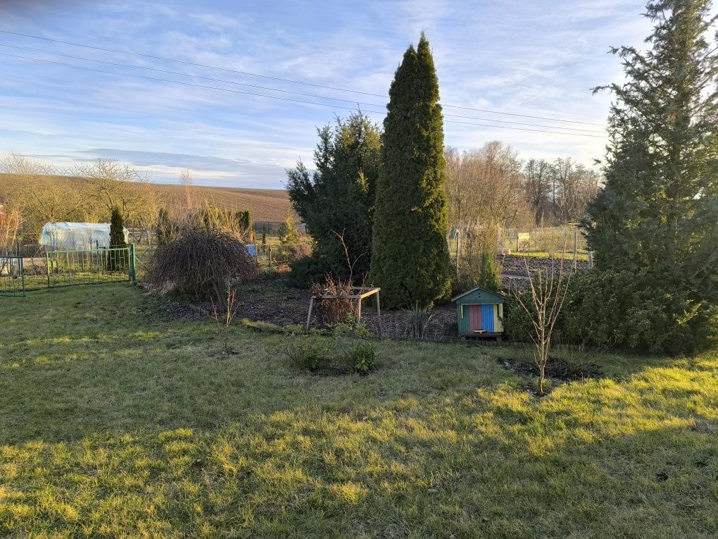 Działka rod Pełczyce, ul. Łąkowa. Zdjęcie 2