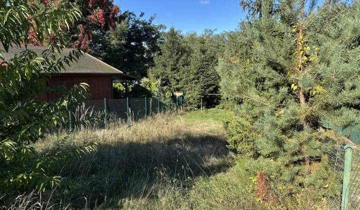 Działka rekreacyjna Dominice, ul. Jeziorna