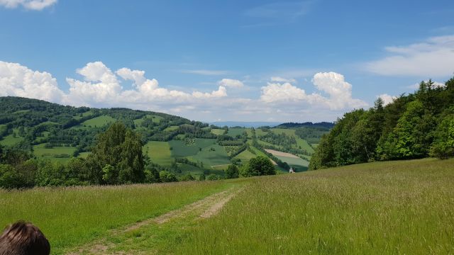 Działka rolno-budowlana Konradów. Zdjęcie 8