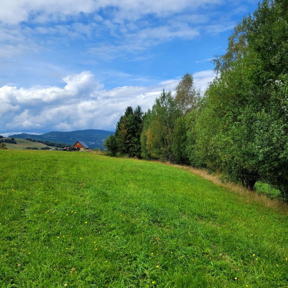 Działka rolno-budowlana Istebna. Zdjęcie 3