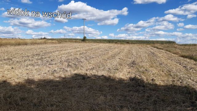 Działka rolno-budowlana Nasiechowice. Zdjęcie 1