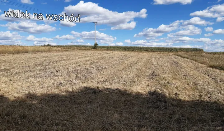 Działka rolno-budowlana Nasiechowice