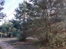 Działka rekreacyjna Zambski Kościelne. Zdjęcie 3