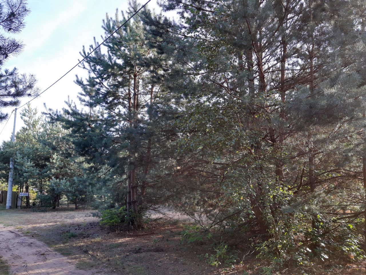 Działka rekreacyjna Zambski Kościelne. Zdjęcie 4