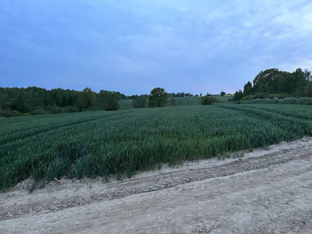 Działka inwestycyjna Lublin Węglin, ul. Gołębia