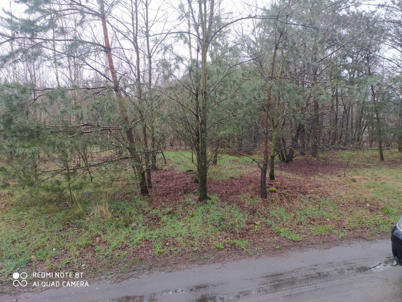 Działka Rusiec. Zdjęcie 2