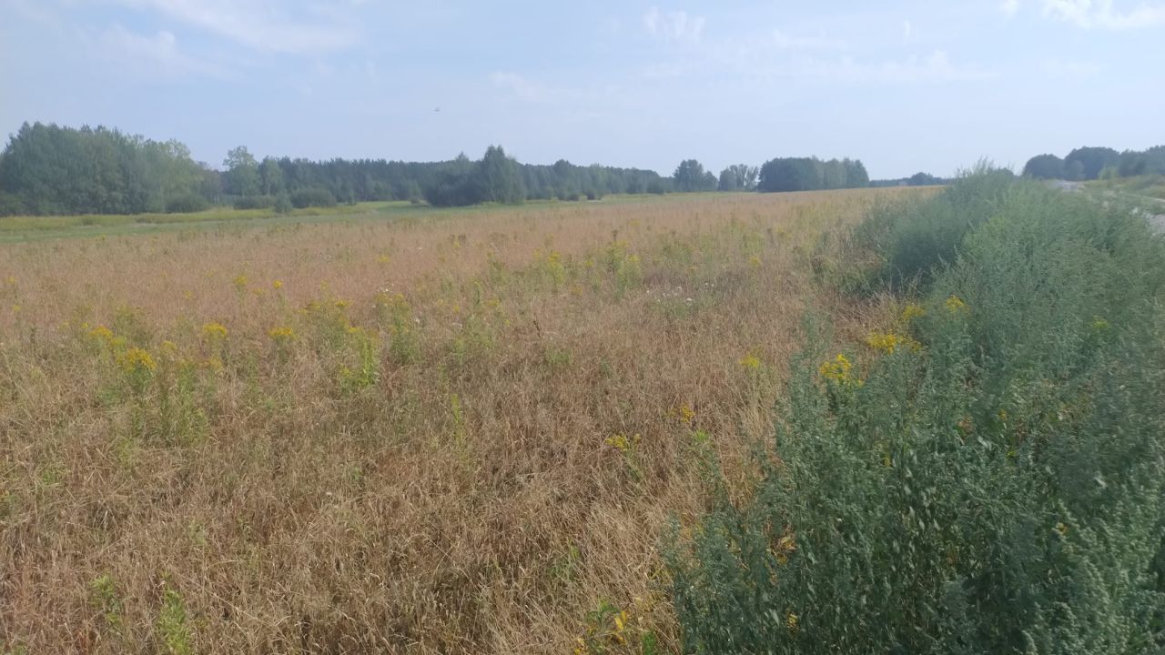 Działka rolna Garwolin Zawady, ul. Sobieskiego. Zdjęcie 12