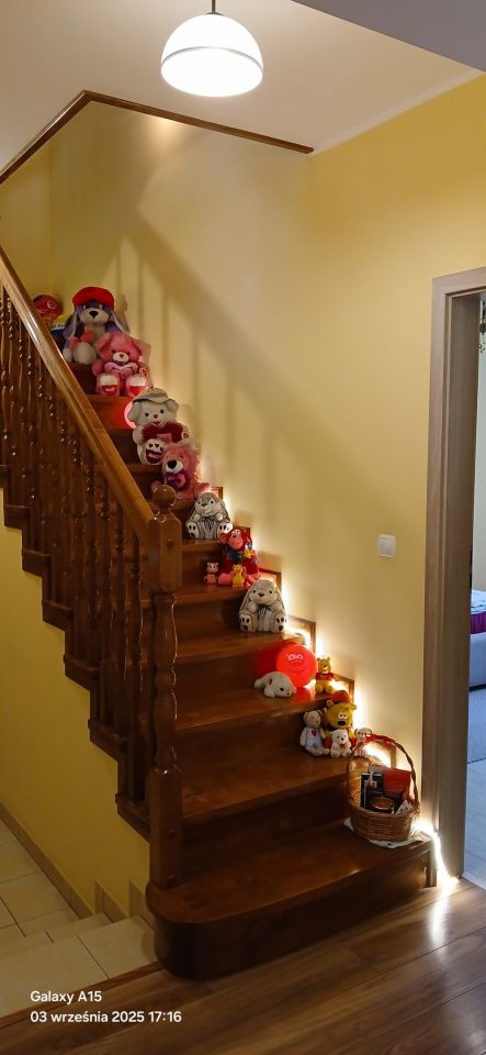 dworek, 6 pokoi Orzechowo. Zdjęcie 20