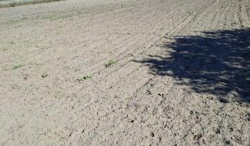 Działka budowlana Rokitnica