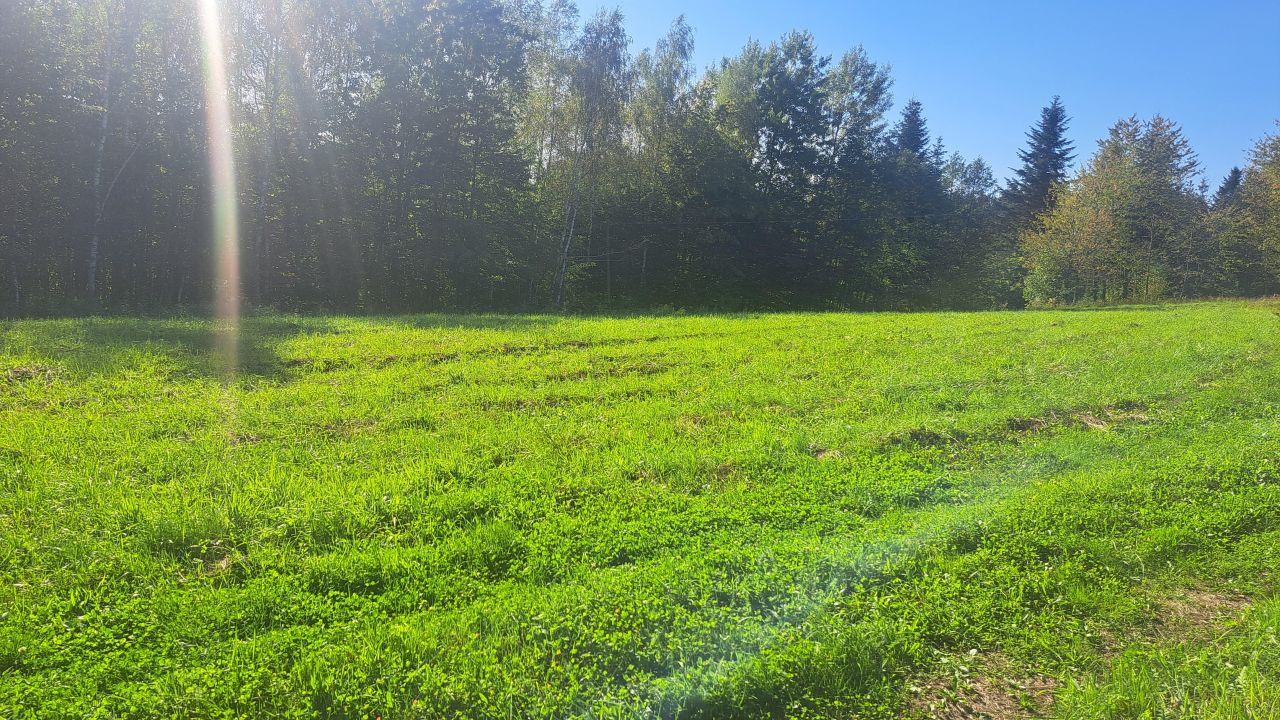 Działka budowlana Lecka. Zdjęcie 2