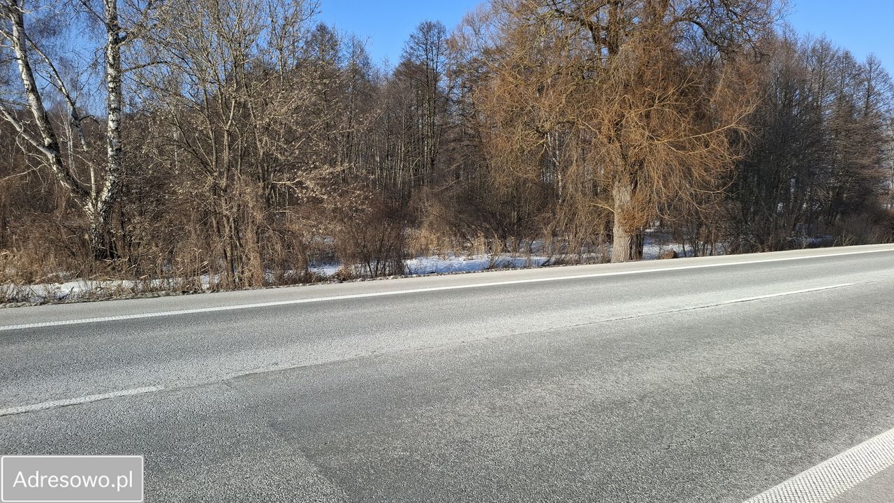 Działka rolna Dobrut. Zdjęcie 8