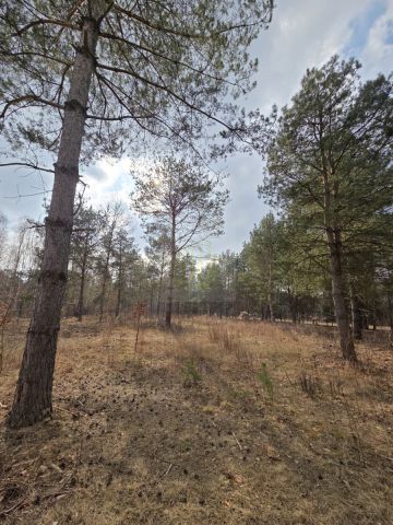 Działka budowlana Budy Zaklasztorne, ul. Mazowiecka. Zdjęcie 8