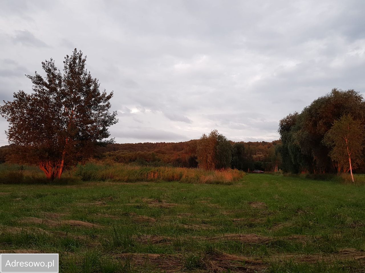 Działka inwestycyjna Suchacz. Zdjęcie 10