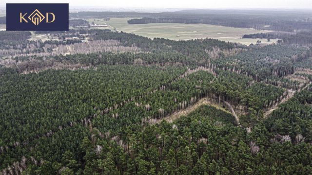 Działka inwestycyjna Dąbrowa Nowa. Zdjęcie 21