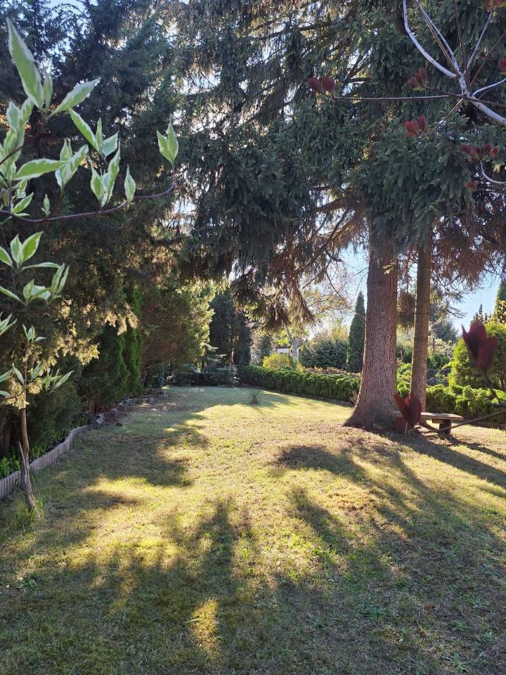 Działka rod Łódź Polesie, ul. Biegunowa. Zdjęcie 6