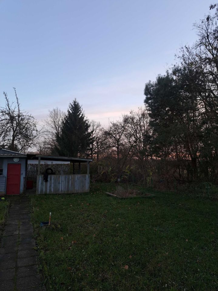 Działka rod Chocianów. Zdjęcie 7