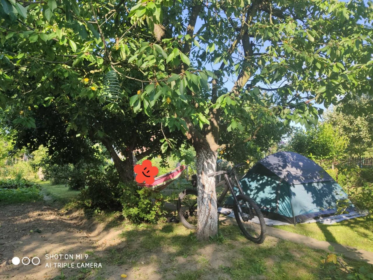 Działka rod Wola Mielecka. Zdjęcie 6