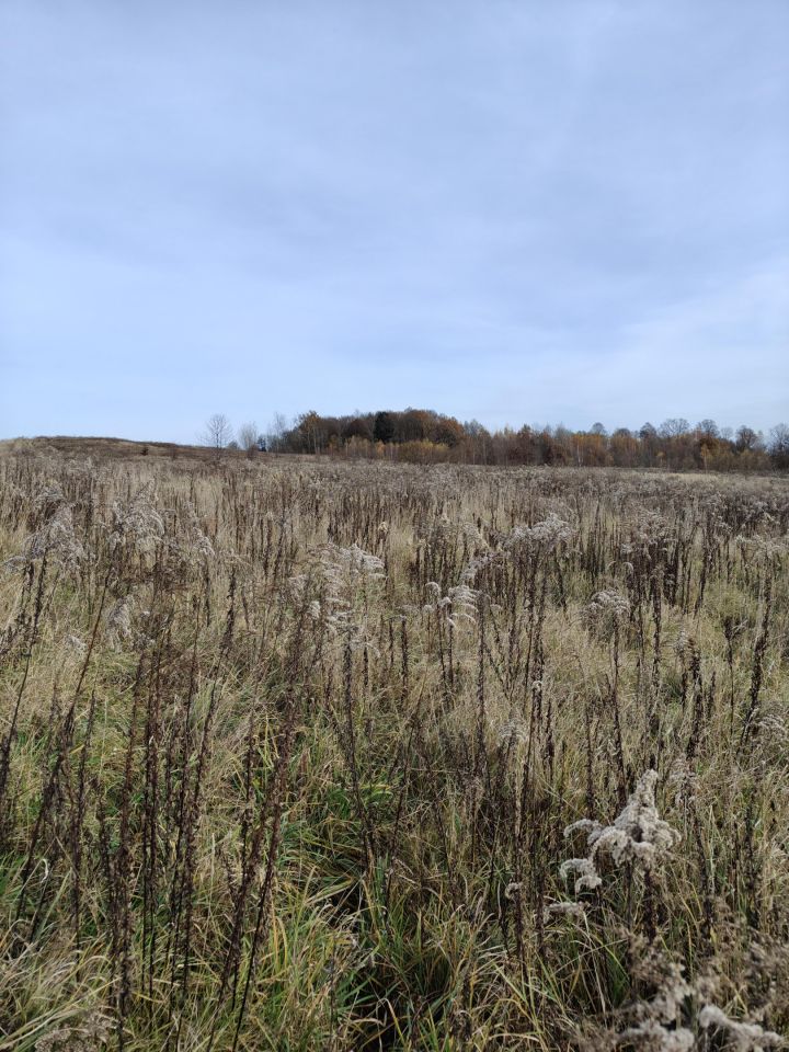 Działka rolna Ubocze. Zdjęcie 4