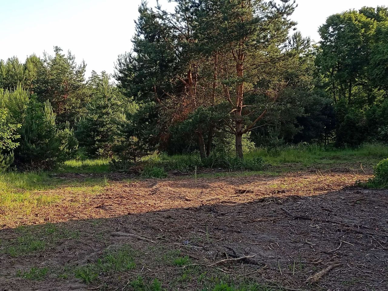 Działka budowlana Białka. Zdjęcie 4