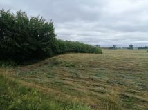 Działka rekreacyjna Szymonka. Zdjęcie 4