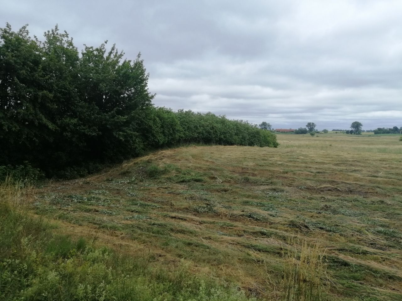 Działka rekreacyjna Szymonka. Zdjęcie 5