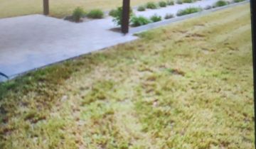 Działka rod Strzelce Opolskie