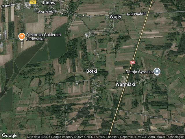 Działka rolna Borki. Zdjęcie 1