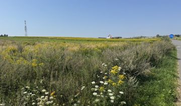 Działka na sprzedaż Siemianice 