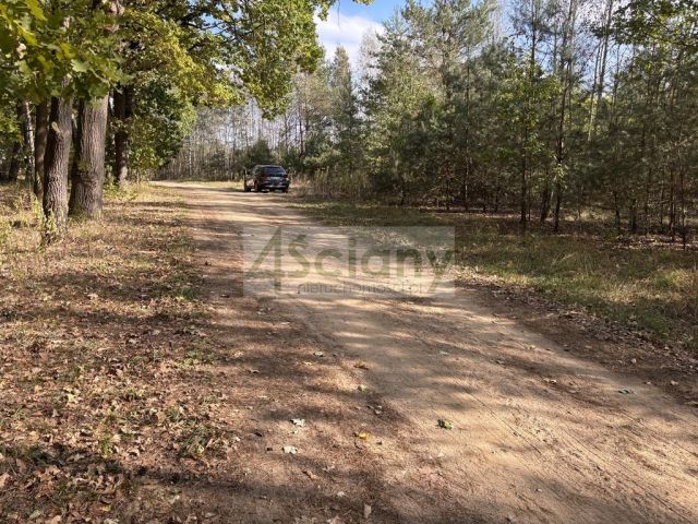 Działka budowlana Dębina. Zdjęcie 5