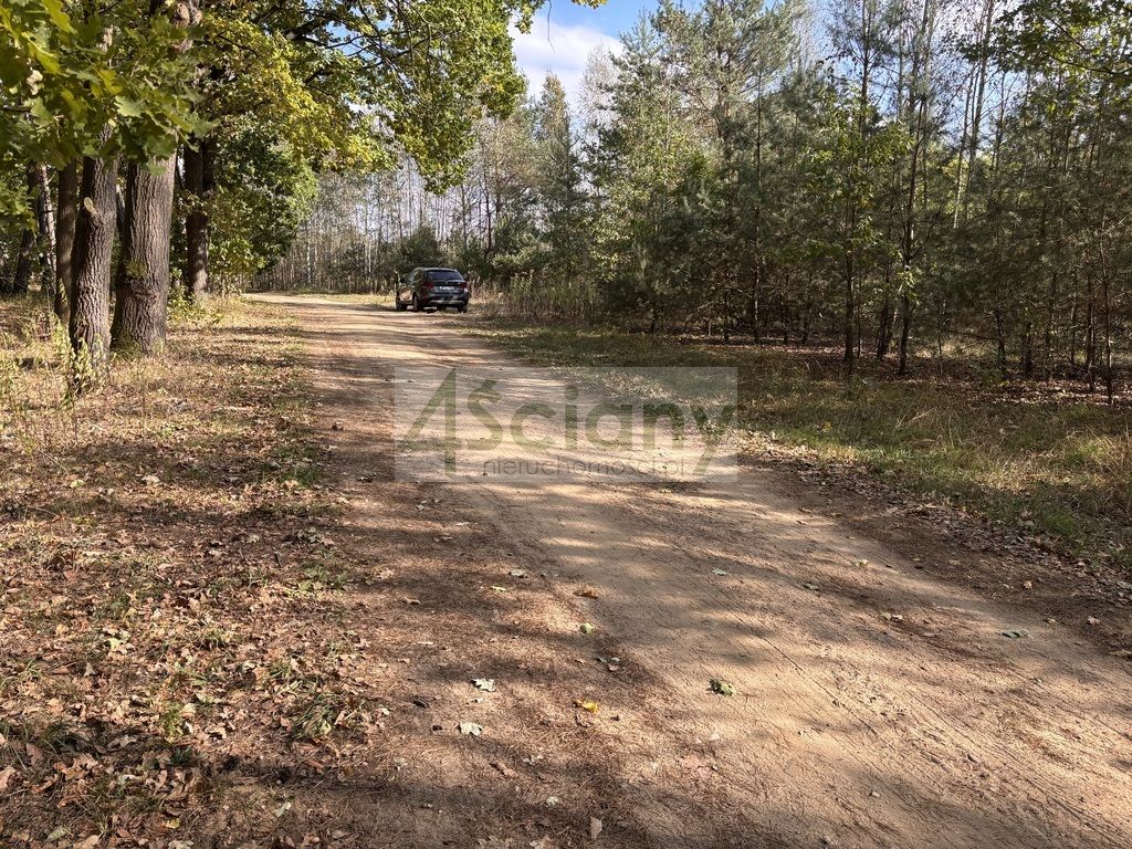 Działka budowlana Dębina. Zdjęcie 5