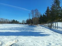 Działka rolno-budowlana Zbiczno. Zdjęcie 3