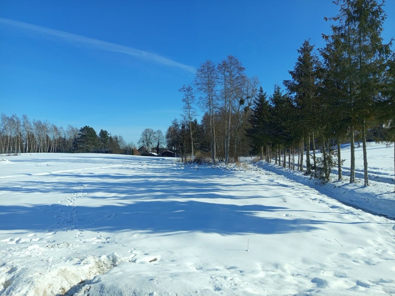 Działka rolno-budowlana Zbiczno. Zdjęcie 4