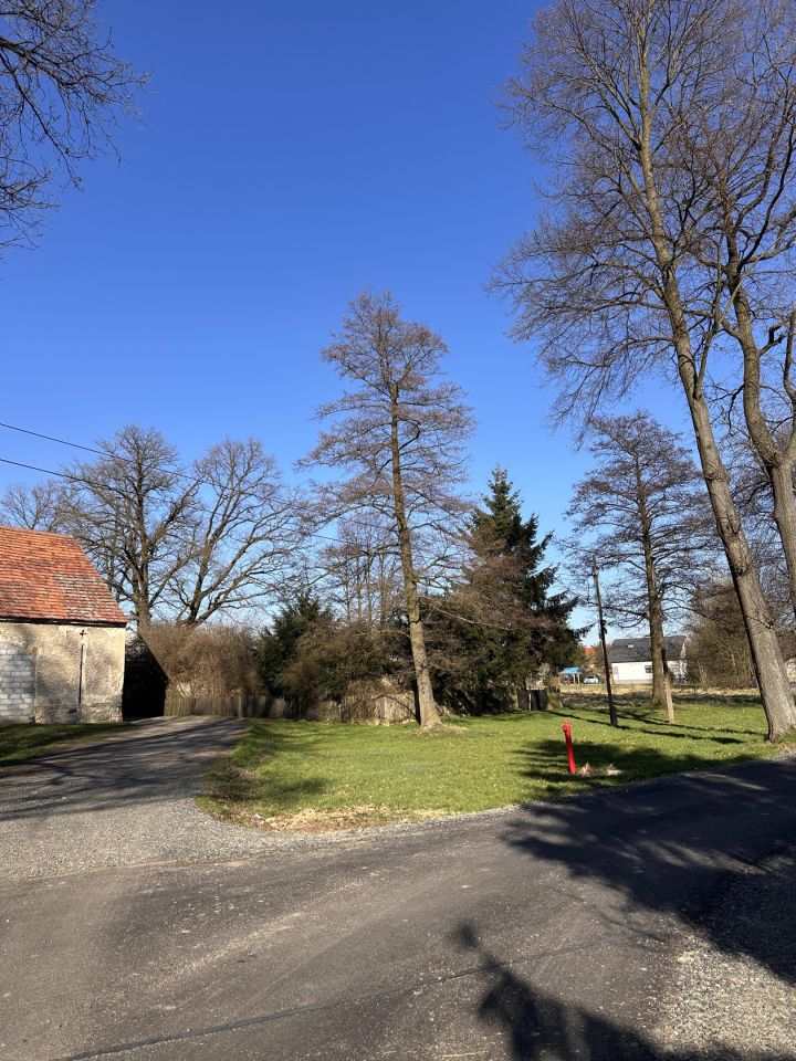 Działka rolna Chmielno. Zdjęcie 12