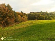 Działka rolno-budowlana Golcowa. Zdjęcie 3