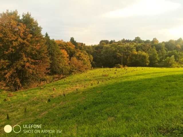 Działka rolno-budowlana Golcowa. Zdjęcie 4