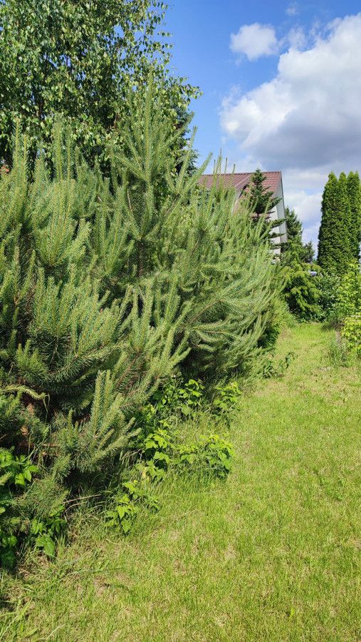 dom wolnostojący, 5 pokoi Topolin. Zdjęcie 13