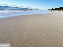 Działka rolna Sierosław. Zdjęcie 4