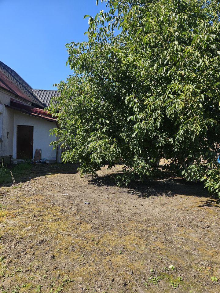 bliźniak, 3 pokoje Zielin, ul. Wincentego Witosa. Zdjęcie 3