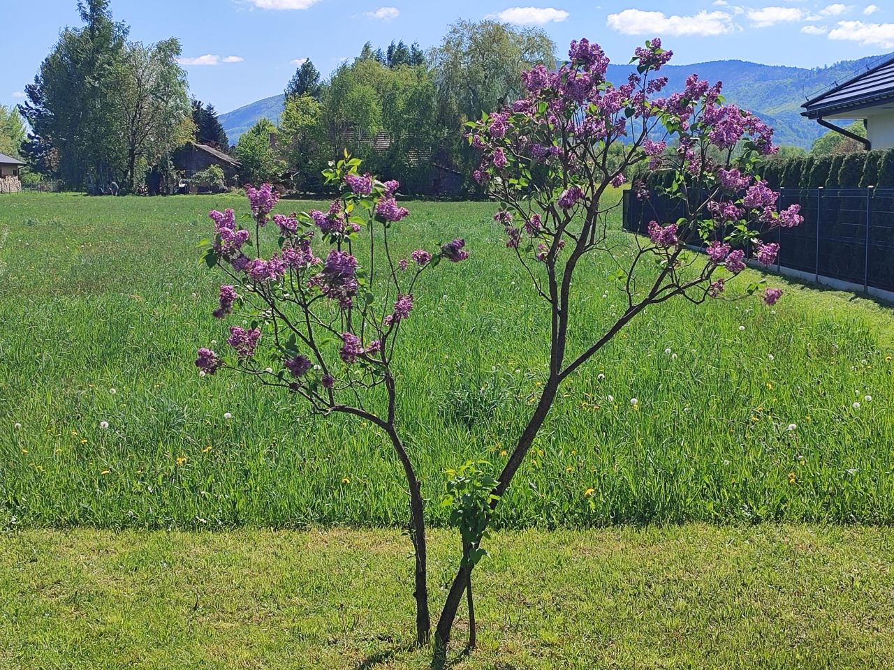 Działka budowlana Ustroń Hermanice, ul. Jana Sztwiertni. Zdjęcie 3