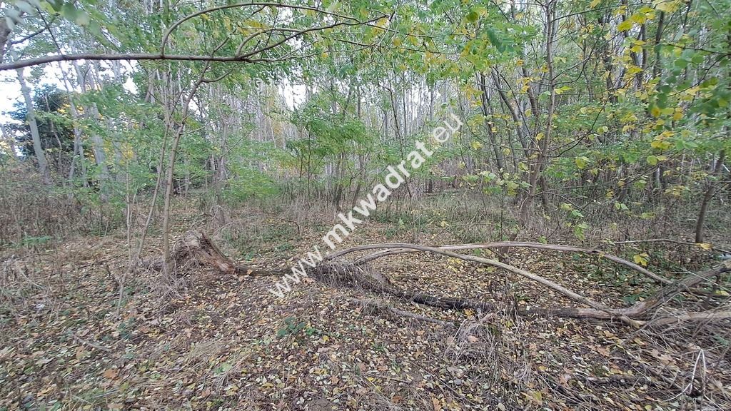 Działka budowlana Wyględy. Zdjęcie 3