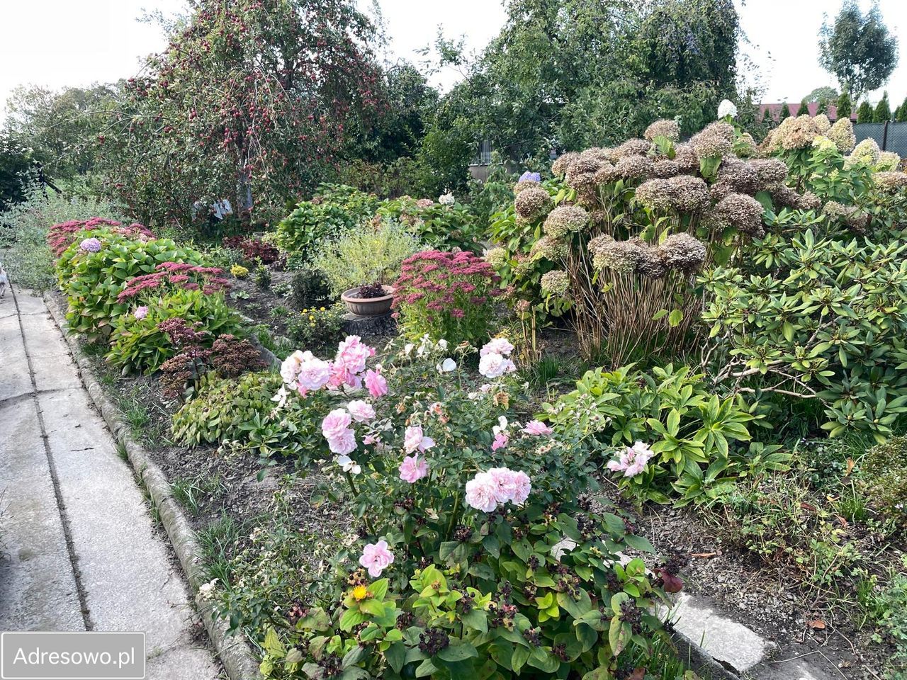 Działka rod Gliwice Wójtowa Wieś, ul. Ku Dołom. Zdjęcie 5