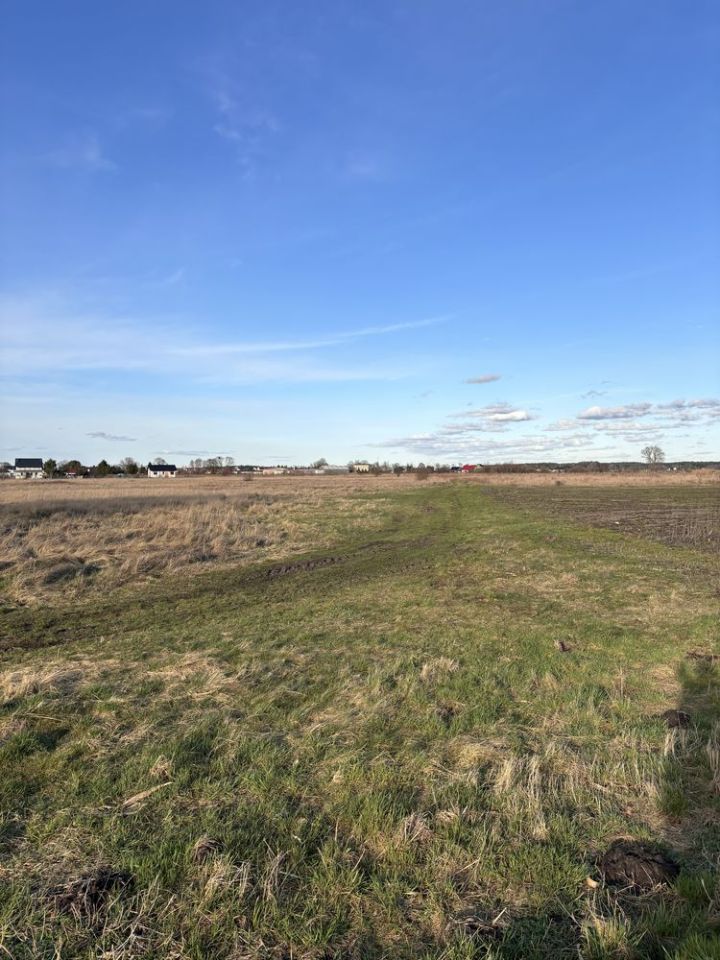 Działka rolno-budowlana Lubczyna. Zdjęcie 7