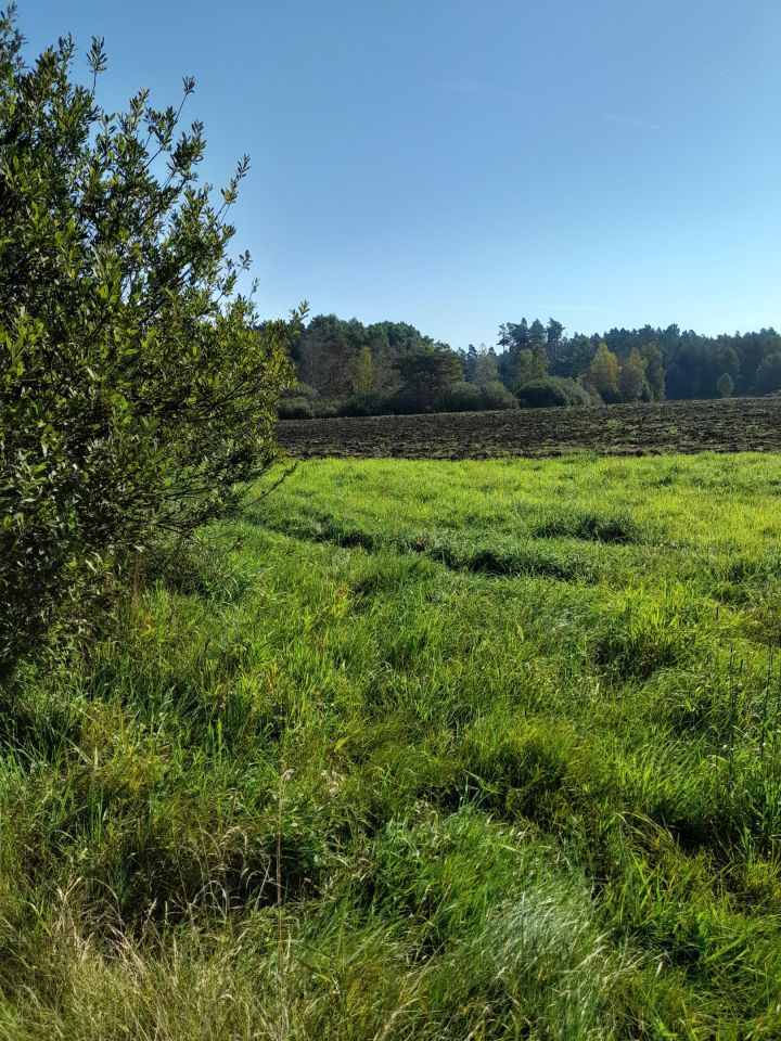 Działka rolna Garczegorze. Zdjęcie 5