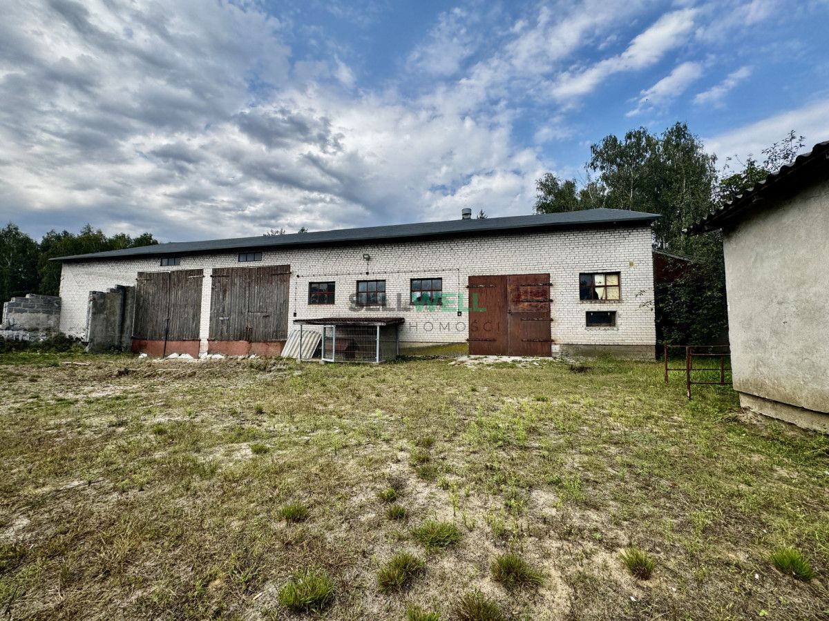 Działka siedliskowa Gutków. Zdjęcie 9