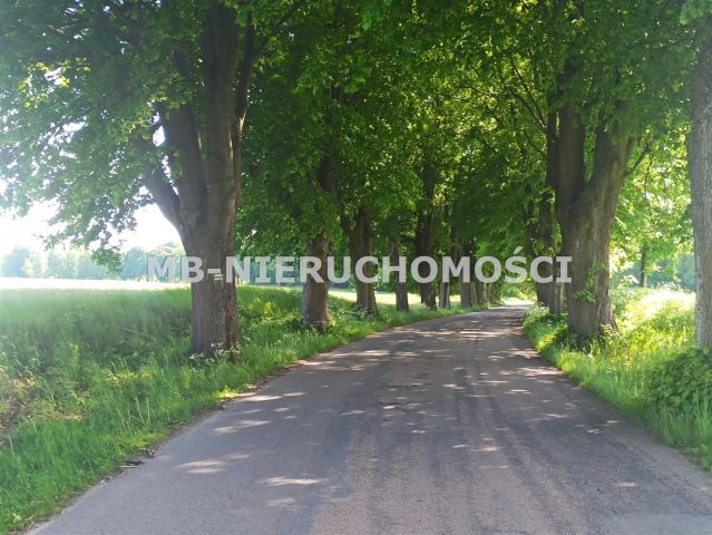 Działka budowlana Królikowo. Zdjęcie 7